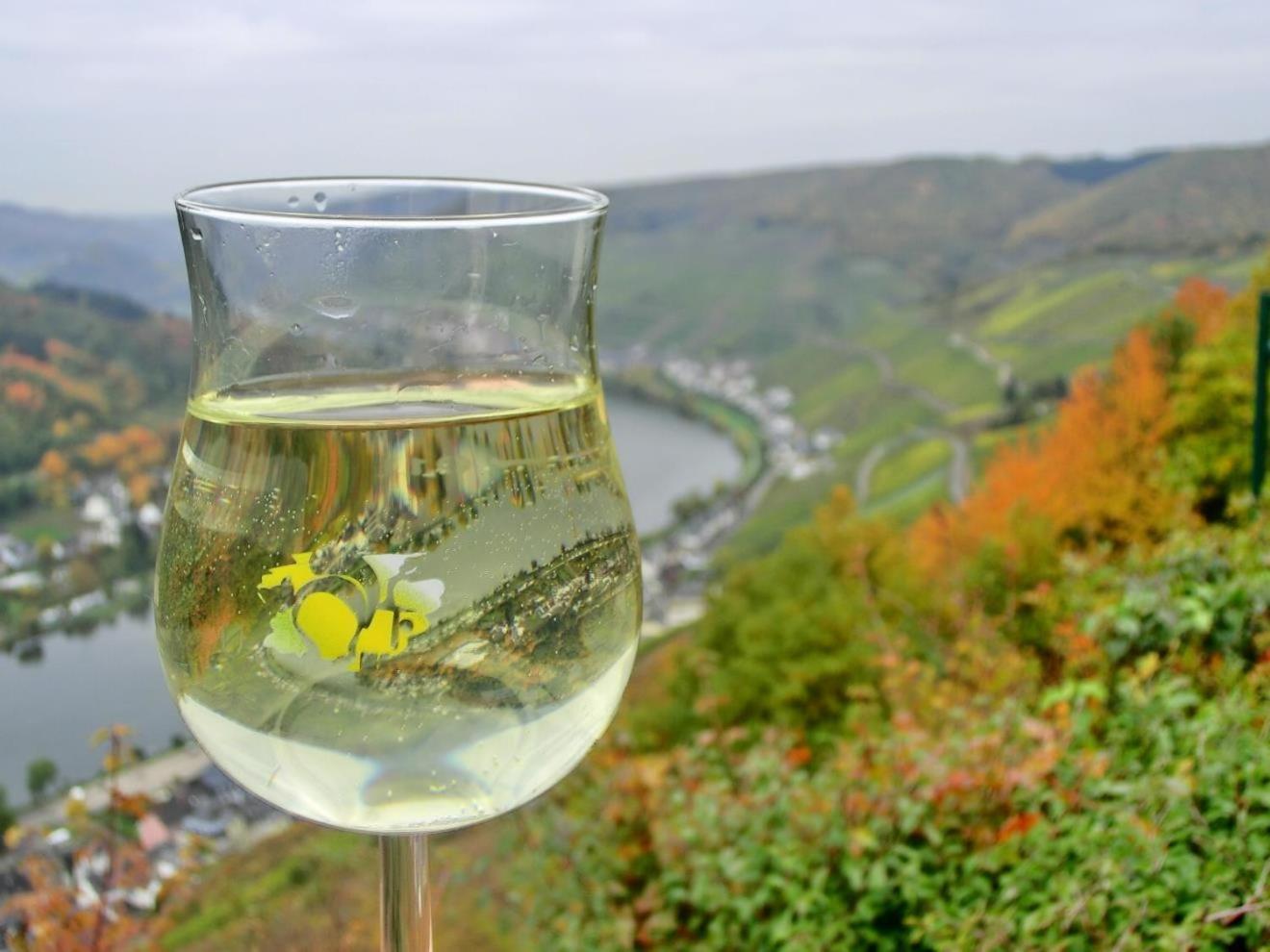 Mosel Ferienhaus Zell Exterior foto
